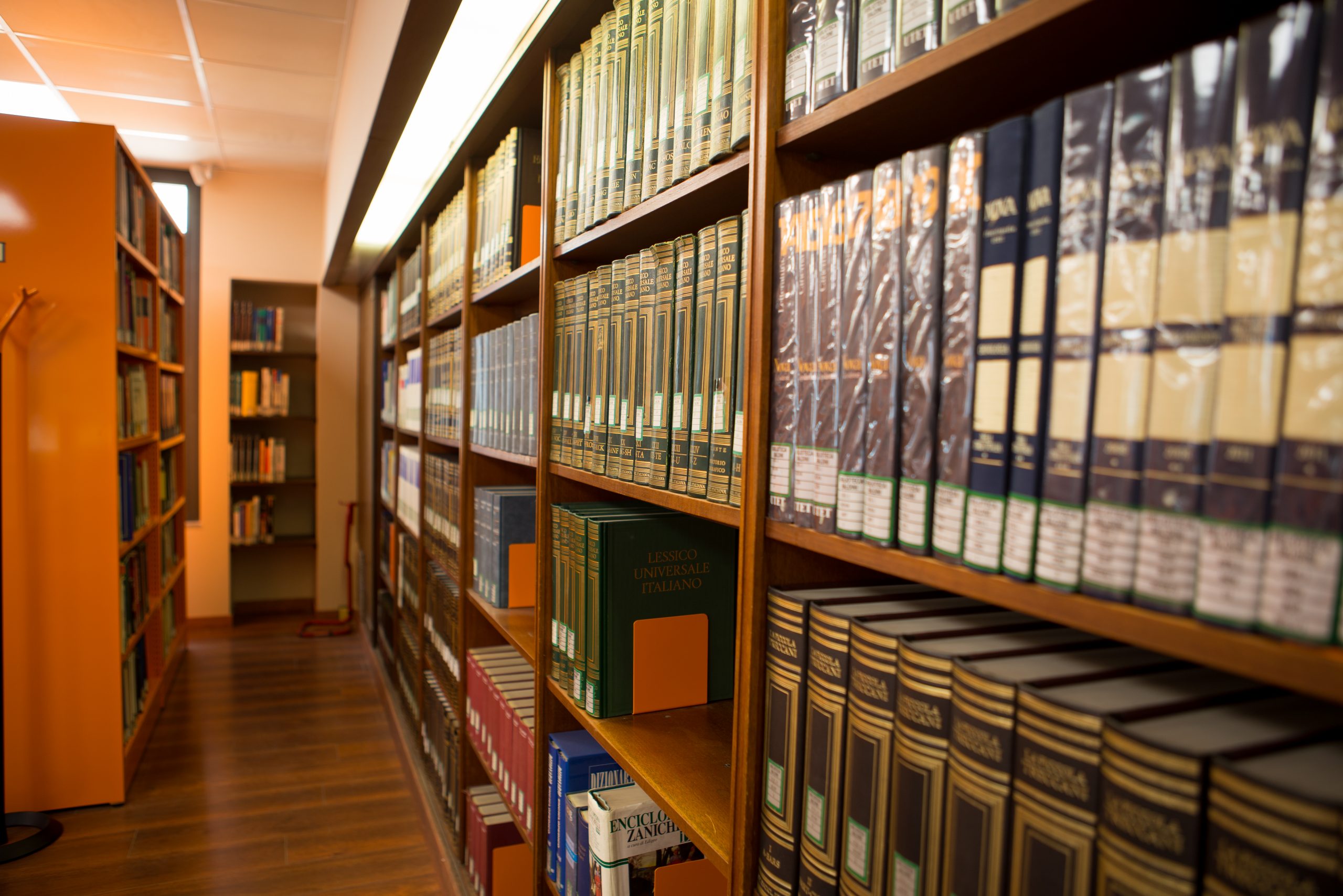 Libri posizionati sugli scaffali della Biblioteca Baldini Roma