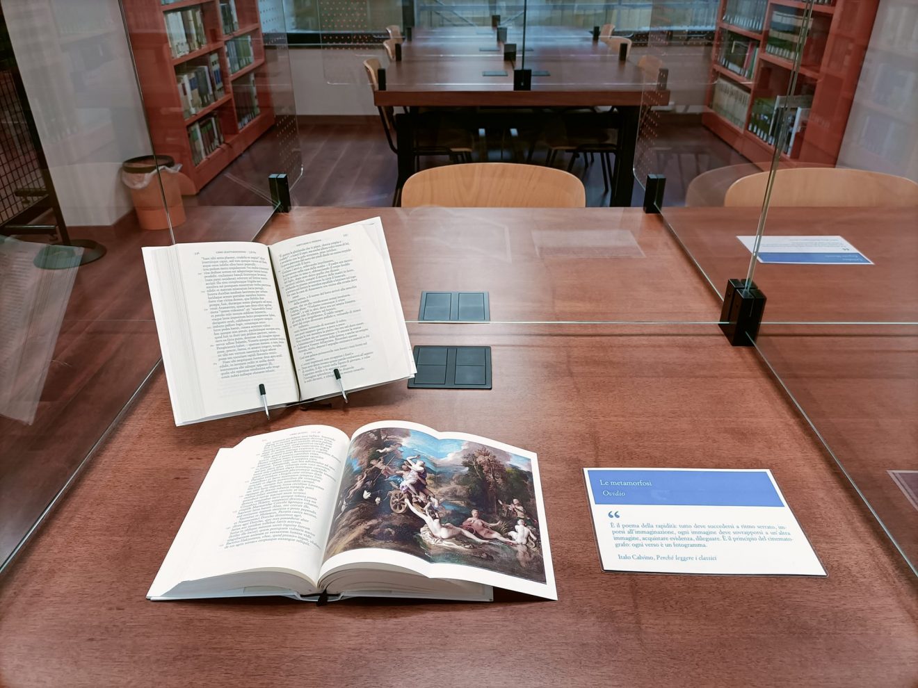 Immagine che raffigura le metamorfosi di Ovidio aperto