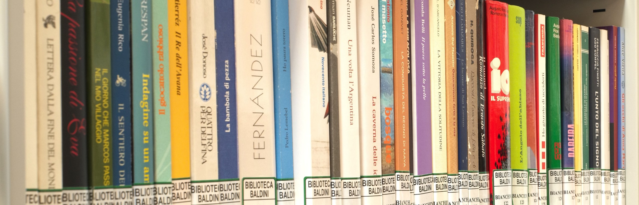 Foto che rappresenta alcuni volumi del Fondo Bianchinni
