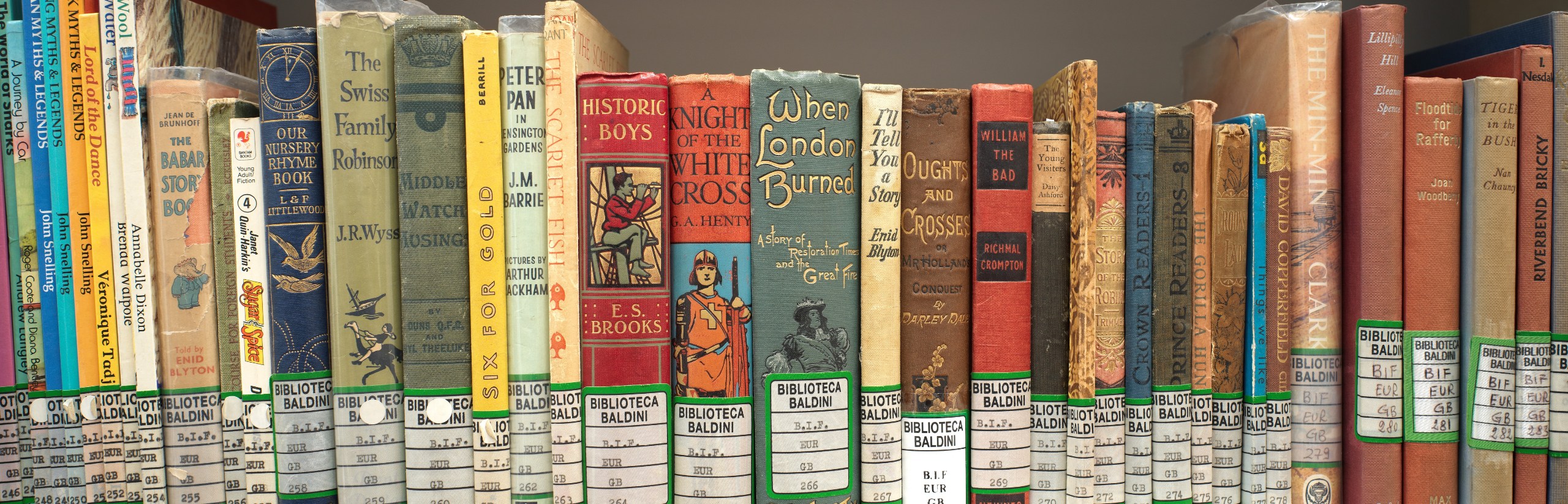 Foto che rappresenta alcuni volumi del Fondo BIF