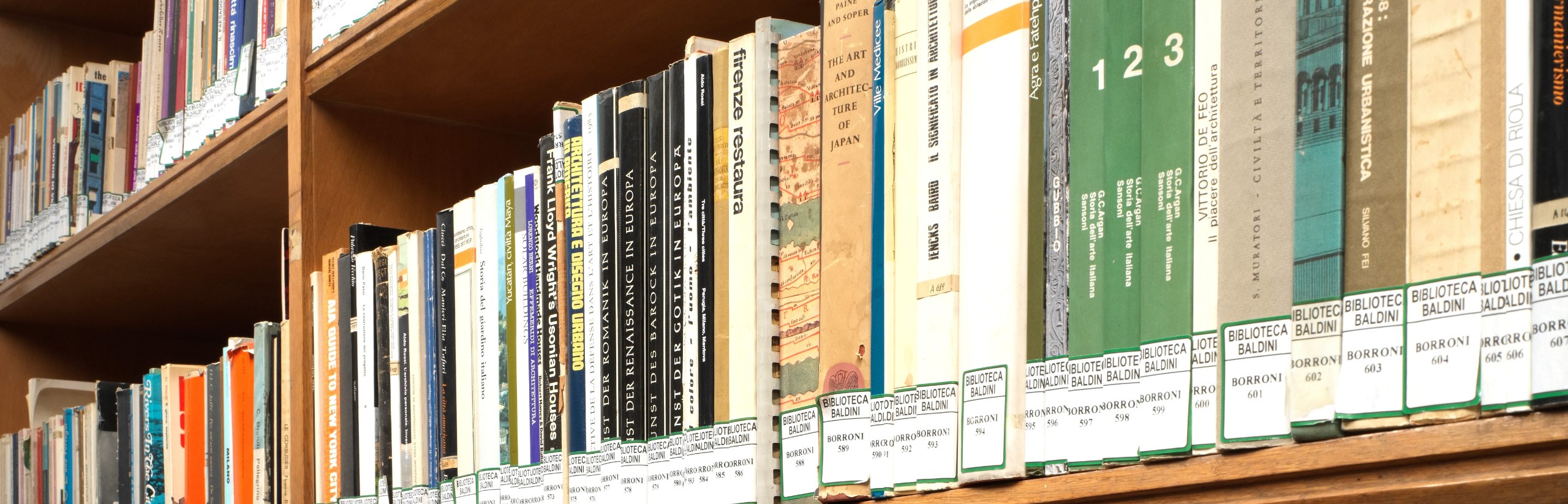 Foto che rappresenta alcuni volumi del Fondo Borroni