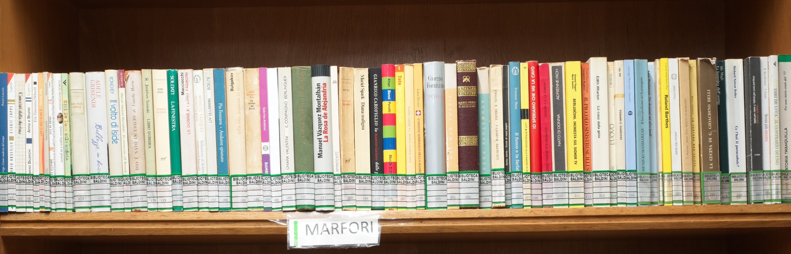 Foto che rappresenta alcuni volumi del Fondo Marfori