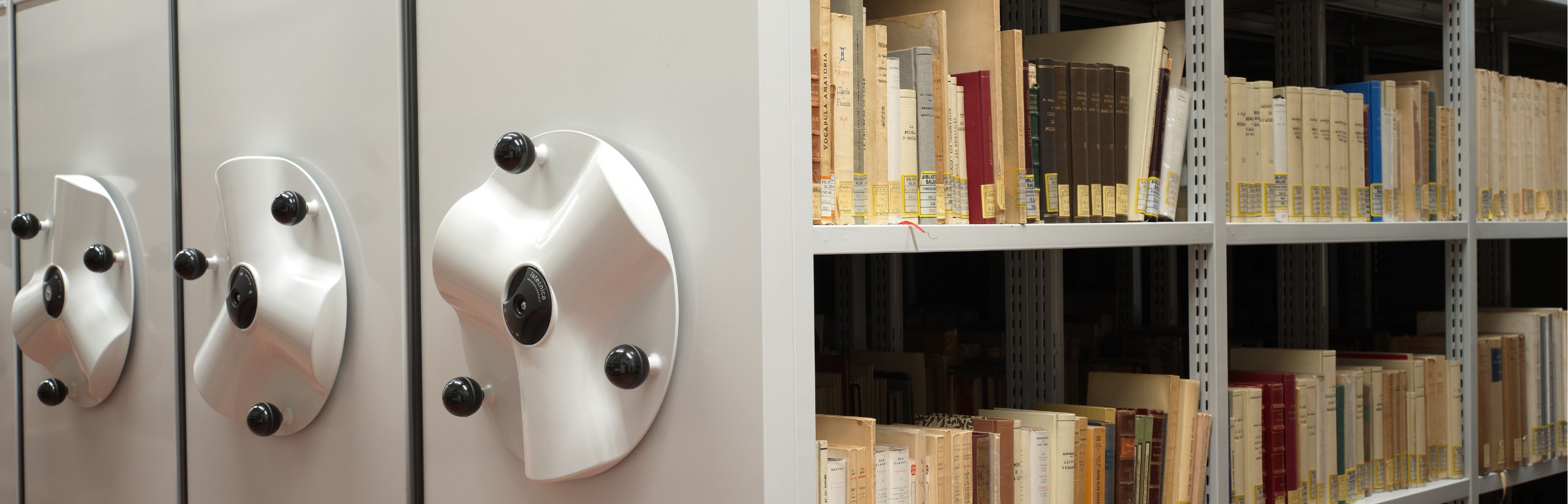 Foto che rappresenta alcuni volumi del Fondo Monelli