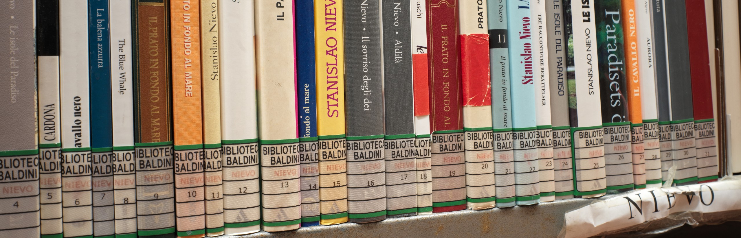 Foto che rappresenta alcuni volumi del Fondo Nievo