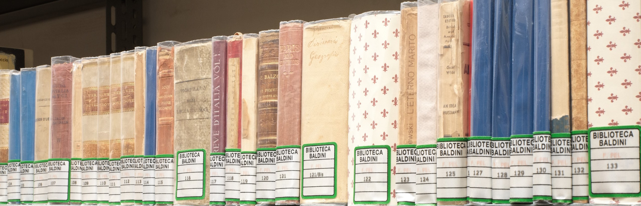 Foto che rappresenta alcuni volumi del Fondo Pellegrini