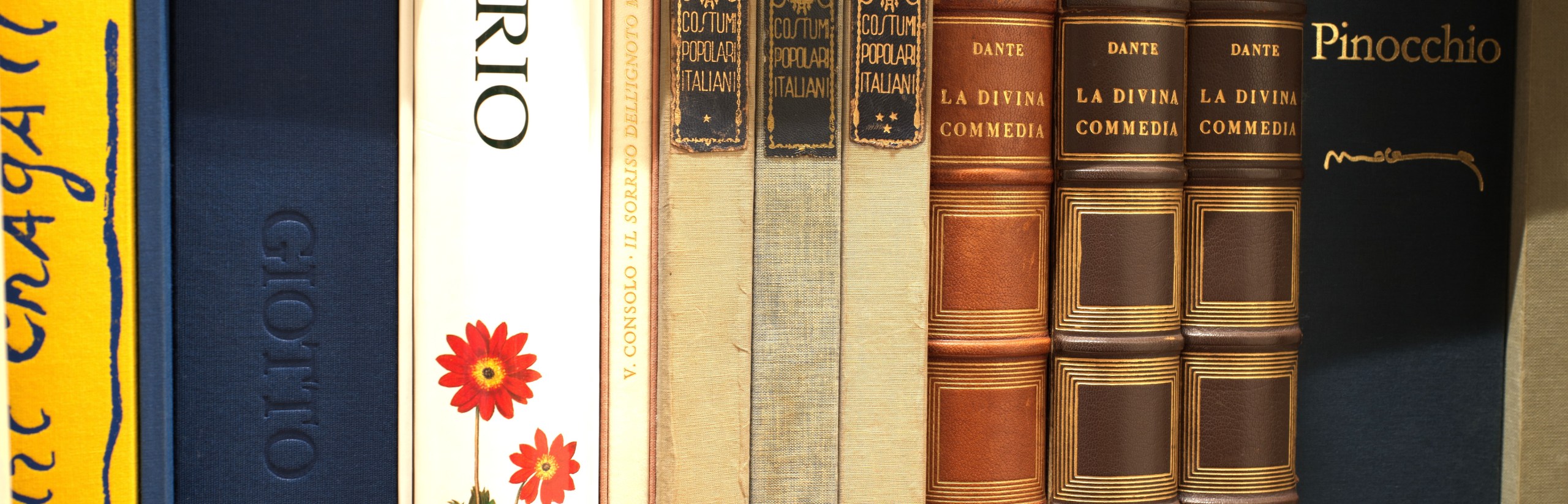 Foto che rappresenta alcuni volumi del Fondo Pregi