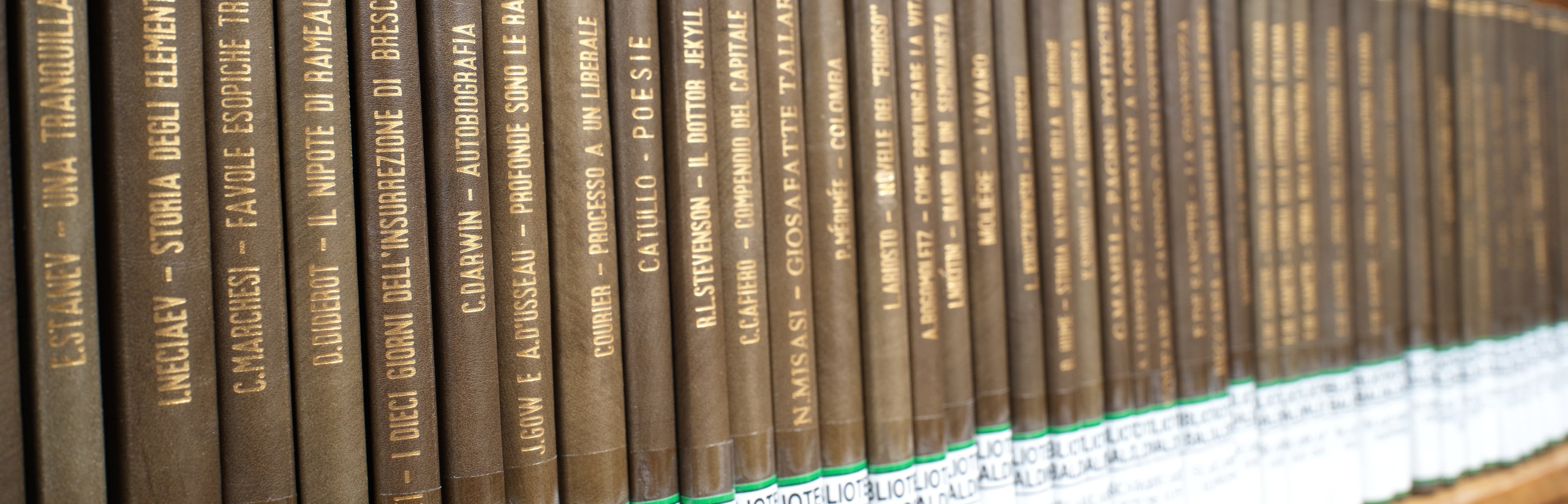 Foto che rappresenta alcuni volumi del Fondo Scarpa