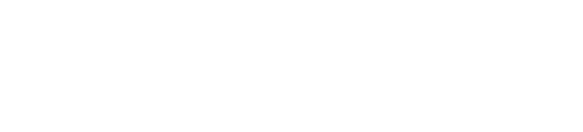 Logo della Biblioteca Baldini di Roma