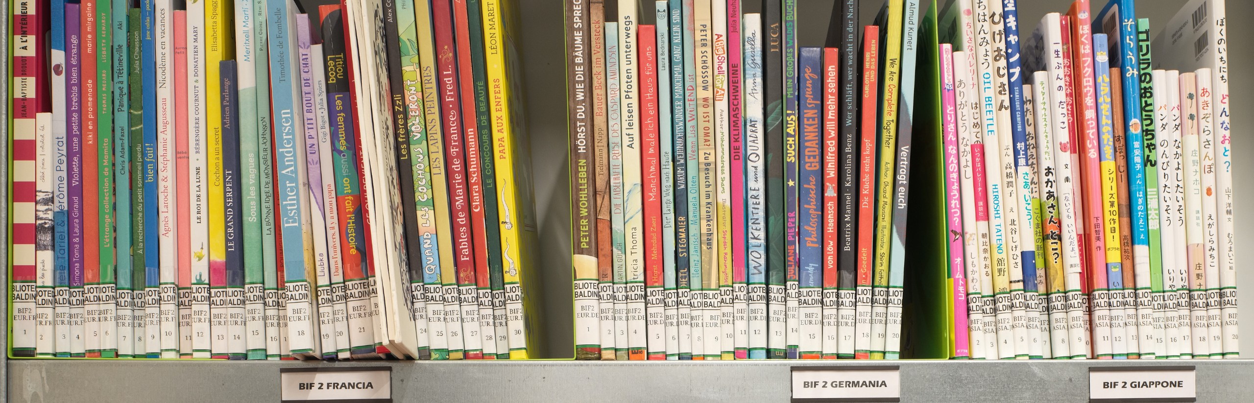 Foto che rappresenta alcuni volumi del Fondo Bif 2